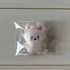 2026年最新】straykids アイエン ぬいぐるみの人気アイテム - メルカリ