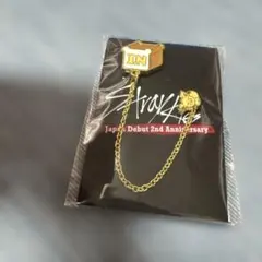 スキズ straykids アイエン オンラインくじ ピンズ