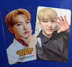 Stray Kids スキズ チャンビン トレカ 2枚セット