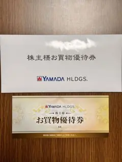 ヤマダ電機 株主優待券3,000円分