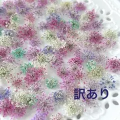 カラフル❤️紫陽花ひな祭りルナのドライフラワー 1～2.5cm 30枚+α