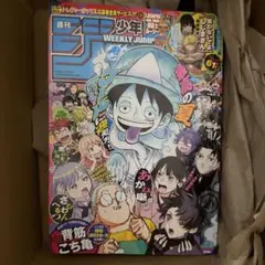 週刊少年ジャンプ 37.38 応募者全員サービス 応募券のみ 2枚 ルーシー