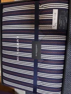 超希少BURBERRY 羽毛掛ふとんハンガリー産ダウン90％ 激レア 全