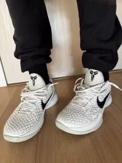 2026年最新】Kobe 6 Protro 