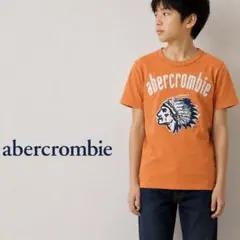 Abercrombie アバクロンビー 半袖Tシャツ オレンジ ロゴ刺繍 Lのサムネイル