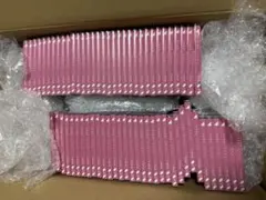 ビリヤニ 通常版 66枚