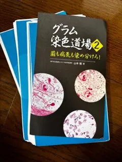 グラム染色道場