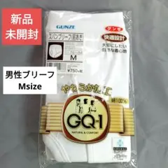 グンゼ ブリーフ