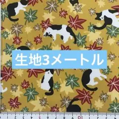 生地　3メートル　同封不可