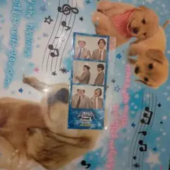 例えば炎　まとめ売り 2025年最新】UNDER5 例えば炎の人気アイテム - メルカリ