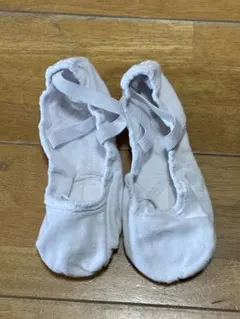 Item thumbnail for item 8d8ec116-0821-465a-b4dc-e1644a5ef88f