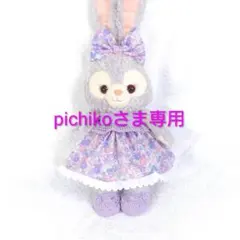 pichikoさま専用 エミーグランデ使用2LG-4 シューズ付きセット