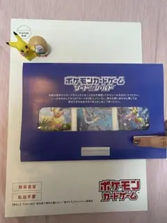 夏ポケカ˚✧₊ 未開封　※白封筒は希望次第お付けします!