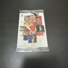 バレーボール 女子日本代表 ウエハース2026 佐藤淑乃