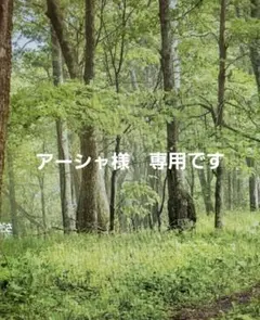 2026年最新】ドテラ ディープブルースティックの人気アイテム - メルカリ