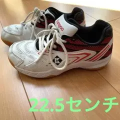 バドミントンシューズ