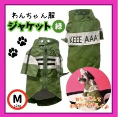 わんちゃん洋服　単品　緑色Mサイズ