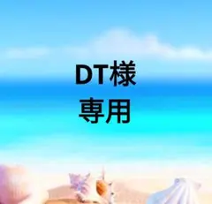 エリクシールシュペリエル つや玉ファンデーション T オークル10 レフィルのサムネイル