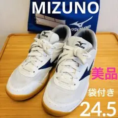 美品【MIZUNO✴︎体育館シューズ】24.5バレエ✴︎男女兼用✴︎スクールシューズのサムネイル