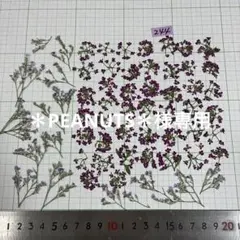 ＊PEANUTS＊様 リクエスト 3点 まとめ商品