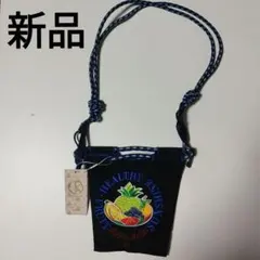 新品未使用　ショルダーバッグ　刺繍バッグ　ナイロンバッグ　2ウェイバッグ