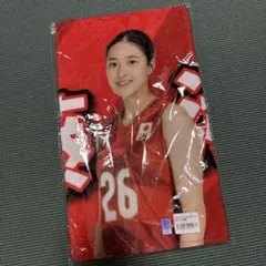 佐藤淑乃 バレーボール