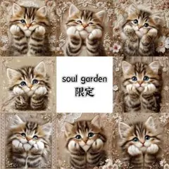 soul garden 251217q