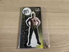 貴重‼️HAO COLLECTION 蝶野正洋 フィギュア 新日本プロレス - メルカリ