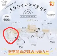 柴犬　うちの子のけだまだま　犬　ガチャ　正規品