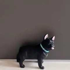 フレンチブルドッグ ブラック