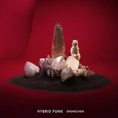 HYBRID FUNK 通常盤 .ENDRECHERI. ハイブリッドファンク