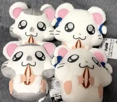 とっとこハム太郎　もひもひぬいぐるみ　こうしくん　リボンちゃん