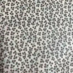 セール　ラスト リバティ ラミネート ネリー あずきミルク C&S