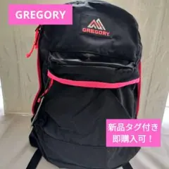 ◆新品GREGORY グレゴリー EASY DAY リュック 20Lネオンピンクのサムネイル