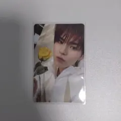 treasure ヨシ トレカ