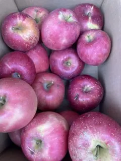 ☆kanayan様専用☆信州産りんご「訳あり紅将軍」4kg