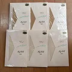 新品　旭化成ベンベルグ　ストッキング6足セット　最高級品