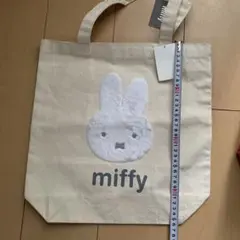 Item thumbnail for item 5a1cd6d5-d805-4201-829a-a556f8e392ca