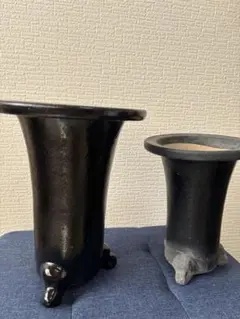 PINSTRIPE-万年青鉢 春光園 植木鉢(新品未使用) 楽天市場】◇万年青鉢