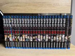 鬼滅の刃 全23巻セット＋短編集＋鬼殺隊見聞録