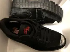 エアジョーダン1ブルックリン　LOW 25cm