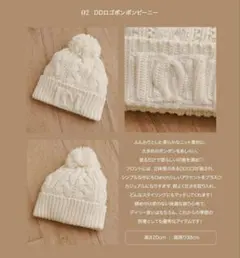 Darich ダーリッチ 9周年 ノベルティ DDロゴポンポンビーニー