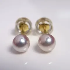 国産あこや真珠 6.6mmグレー系142真珠akoyaピアス パールピアス - メルカリ