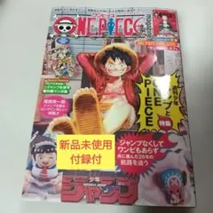 ワンピースマガジン 20号 プロモ付