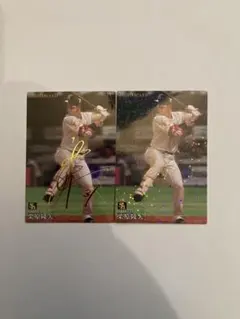 Item thumbnail for item 3c95af9c-b125-4dd2-8a86-4f3863631f26