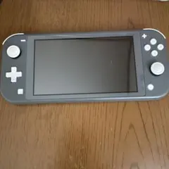 2026年最新】nintendo switch lite グレーの人気アイテム - メルカリ