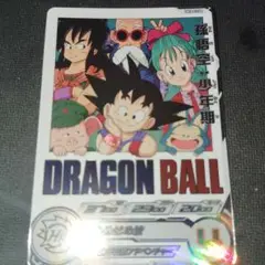 スーパードラゴンボールヒーローズ孫悟空少年期＆クリリン 高め合う同志 PSA10 ドラゴンボールヒーローズ 孫悟空少年期 クリリン少年期 最強