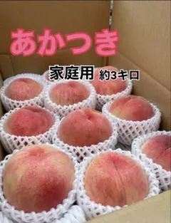 桃　あかつき　家庭用　約3kgのサムネイル