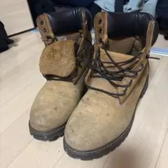 Item thumbnail for item dccc0569-3d4e-4869-827f-34c7f7a042f6