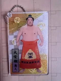 大栄翔　アクリルトレカ　キーホルダー